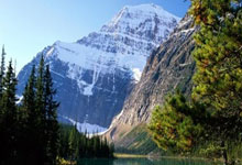 足球直播在线观看-墨西哥逆转里昂，托雷斯爆发神勇——足球场上的激情与奇迹