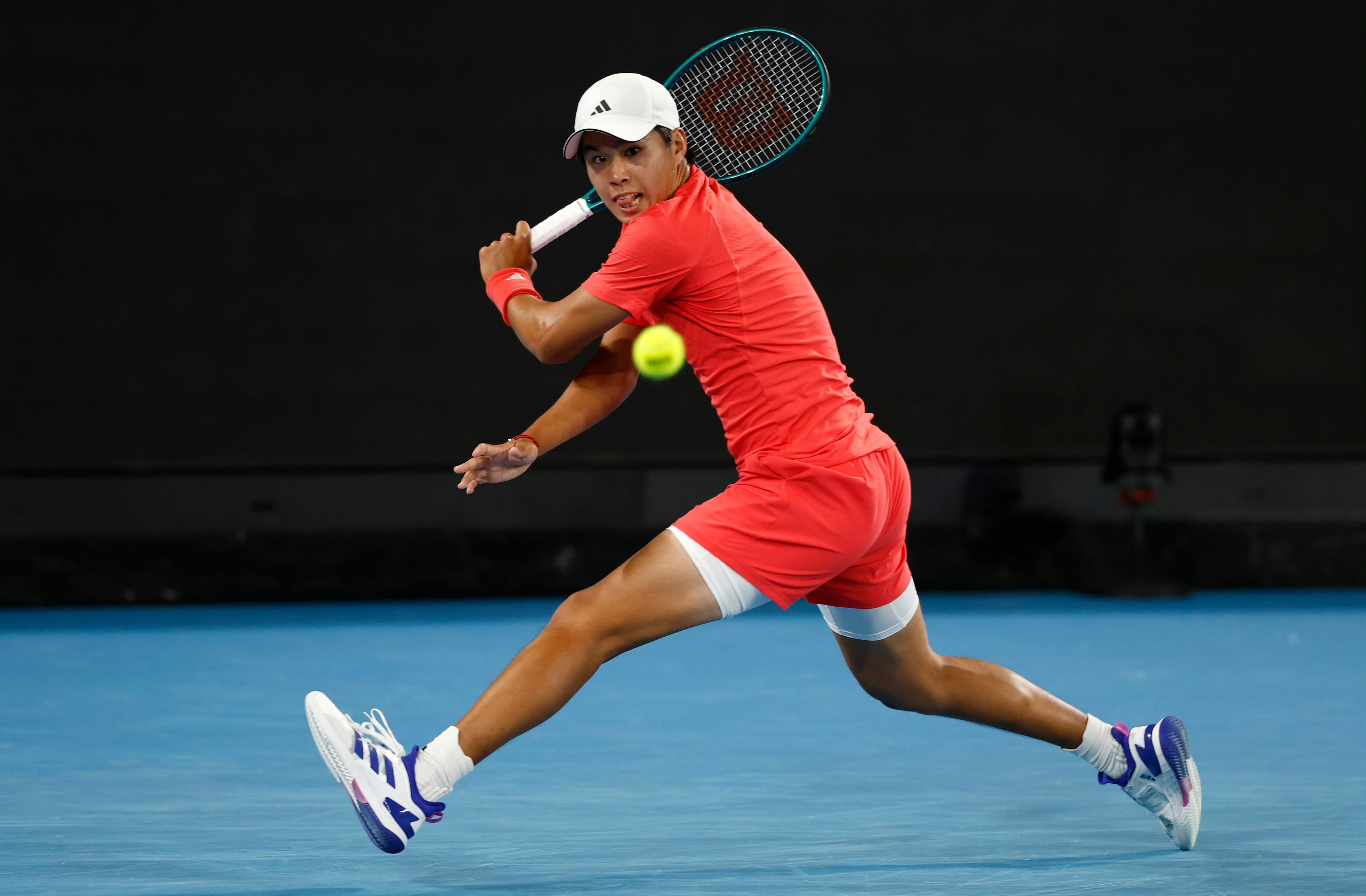 包含澳大利亚网球队横扫西班牙网球队，梅德韦杰夫惊艳世界的词条